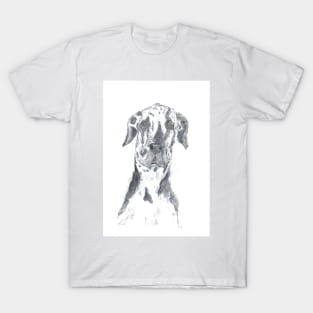 Harlequin Great Dane portrait T-Shirt